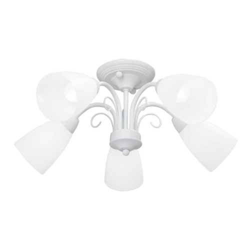 Потолочная люстра Vitaluce V3499-0/5PL Потолочная люстра Vitaluce V3499-0/5PL