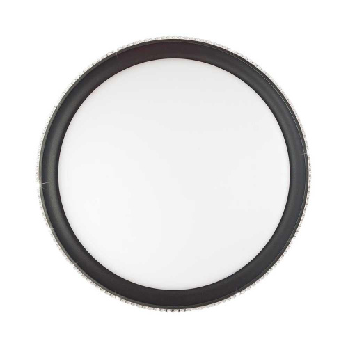 Настенно-потолочный светодиодный светильник Sonex Pale Shiny 3049/EL фото 5