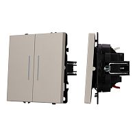 Механизм выключателя двухклавишный непроходной LED SWT-NOBE-MK02-SFPL-L-CA (230V, 10A) Arlight 059417