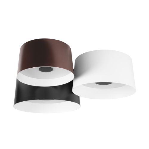 10360/3 Потолочный светильник LOFT IT Duo фото 6 10360/3 Потолочный светильник LOFT IT Duo фото 6