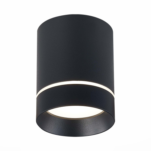 ST115.442.12 Светильник потолочный Черный LED 1*12W 4000K 840Lm Ra>90 120° IP20 D79xH100 170-240V Накладные светильники фото 3
