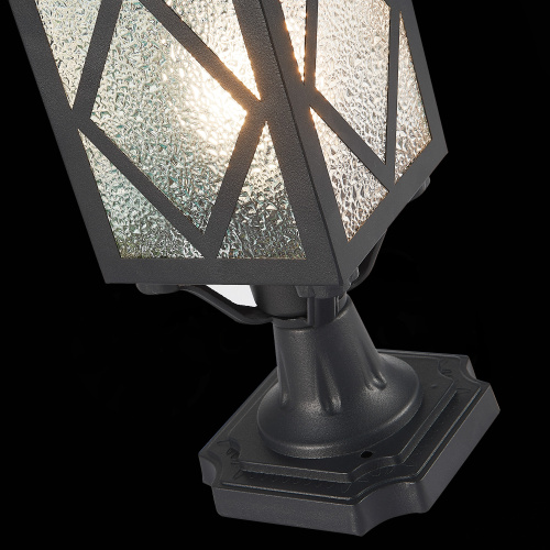 SL084.405.01 Светильник уличный наземный ST-Luce Черный/Черный, Прозрачный E27 1*60W LORNE фото 8
