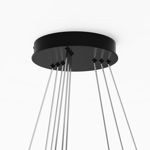 Подвесной светильник Maytoni MOD058PL-L100BK фото 2