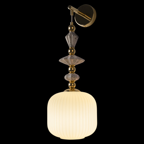 10365W/B Настенный светильник LOFT IT Family фото 2