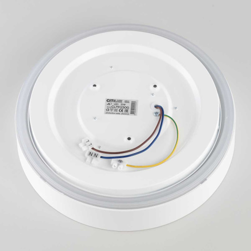 Потолочный светодиодный светильник Citilux Boss CL751250G фото 3