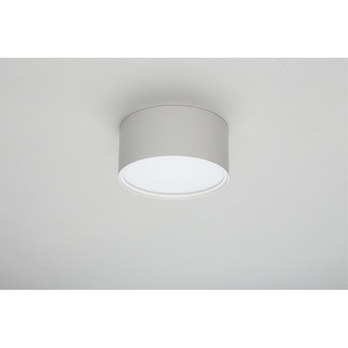 Светильник встраиваемый-накладной OML-103309-12 фото 4