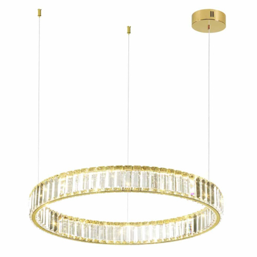 Подвесной светодиодный светильник Odeon Light Vekia 5015/36L фото 5