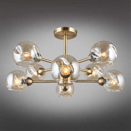 Люстра потолочная OML-93307-08 фото 4 Люстра потолочная OML-93307-08 фото 4