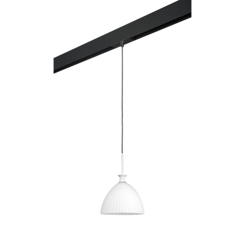 Комплект с трековым светильником Lightstar Agola (810020+595007) PRO810020