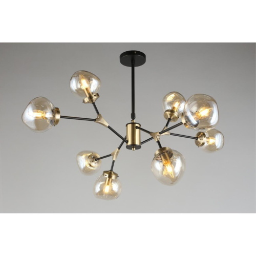 Люстра потолочная OML-95107-08 фото 5