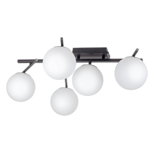 Потолочная светодиодная люстра Citilux Dorsy CL223152 фото 2