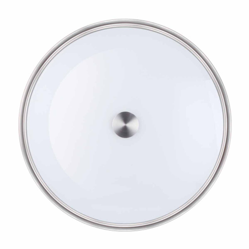 Настенно-потолочный светильник Odeon Light Walli Marsei 4825/4C фото 6