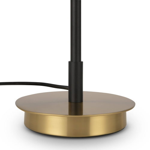 Настольный светильник Freya FR5201TL-01B фото 18