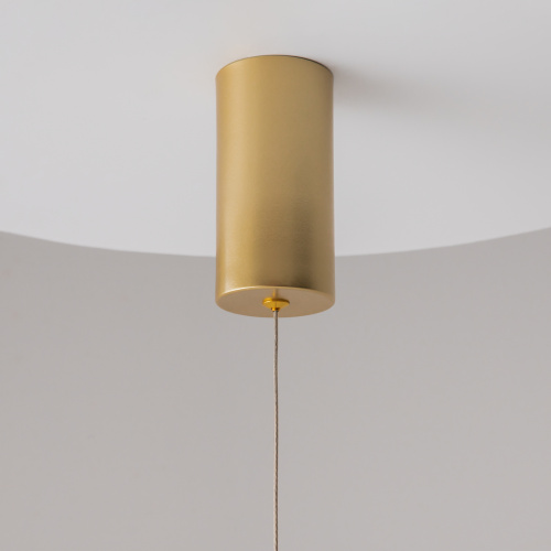 Подвесной светильник Technical P022PL-L20G3K фото 6