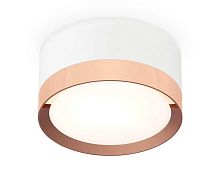 Комплект накладного светильника Ambrella light Techno Spot XS (C8101, N8126) XS8101006