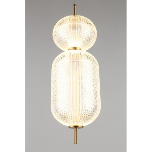 Светильник подвесной OML-68816-02 фото 6