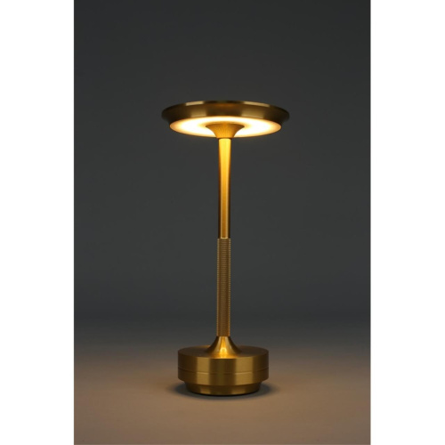 Настольная лампа OML-40414-01 фото 8