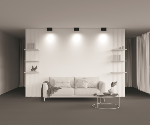 Потолочный светильник Technical C017CL-02B фото 4