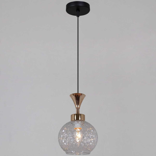 Подвесной светильник Reluce 10080-0.9-01 BK+FG