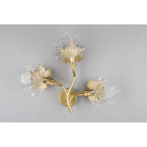 Светильник настенный (Бра) OML-52701-03 фото 5