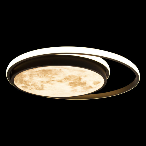 10217 Потолочный светильник LOFT IT Luna фото 2 10217 Потолочный светильник LOFT IT Luna фото 2