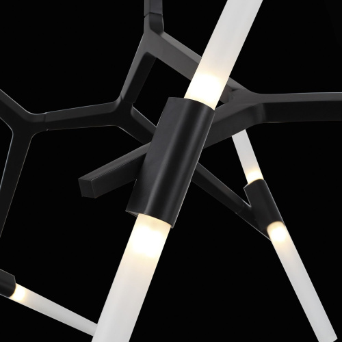 SL947.402.10 Люстра потолочная ST-Luce Черный/Белый G9 10*5W LACONICITA фото 8