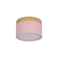 10162 Pink Накладной светильник LOFT IT Grape
