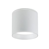 Уличный светильник Favourite Fantum 4662-1U