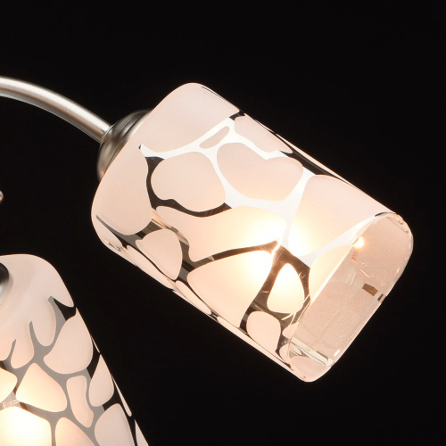 Люстра потолочная MW-Light Олимпия 261019505 фото 8 Люстра потолочная MW-Light Олимпия 261019505 фото 8