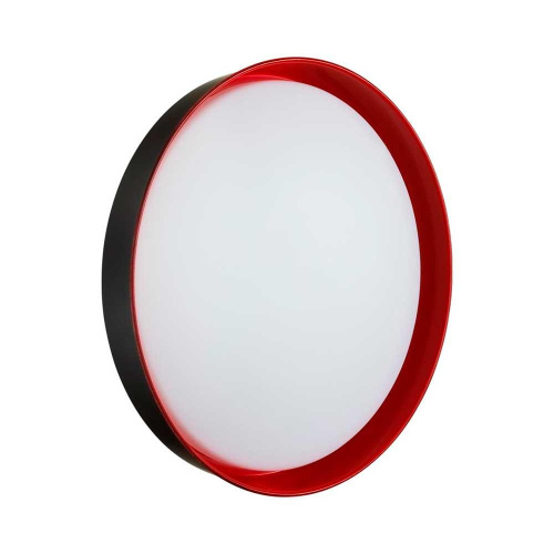 Настенно-потолочный светодиодный светильник Sonex Color Tuna Red 7710/EL фото 9