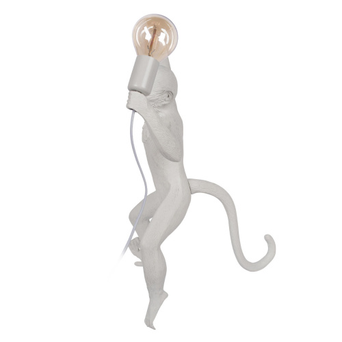 10314W/B Настенный светильник LOFT IT Monkey фото 3 10314W/B Настенный светильник LOFT IT Monkey фото 3