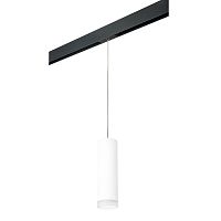 Комплект с трековым светильником Lightstar Rullo (216496+595887+202480) PRORP649680