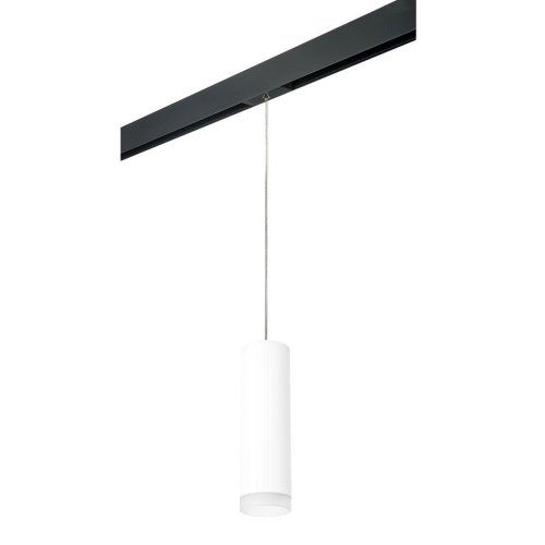 Комплект с трековым светильником Lightstar Rullo (216496+595887+202480) PRORP649680