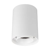 Светильник SP-FOCUS-R110-18W Day4000 (WH, 36 deg, 230V) Arlight 054854