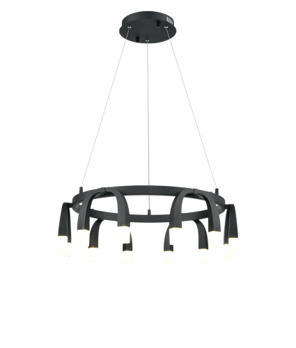 Подвесной светильник Vele Luce Negro VL7102P12 фото 2