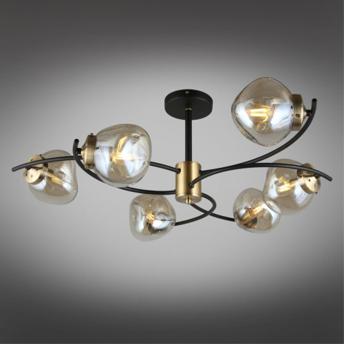 Люстра потолочная OML-95307-06 фото 3