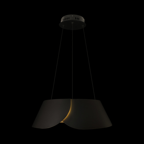 10370P Black Подвесной светильник LOFT IT Lane фото 7 10370P Black Подвесной светильник LOFT IT Lane фото 7