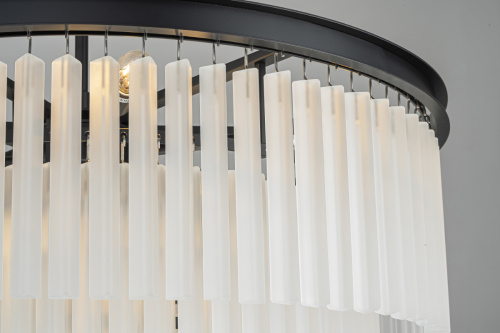 Люстра Odeon 10A black/frost фото 3