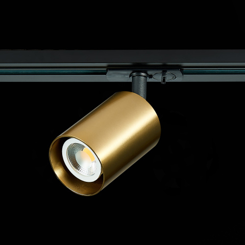 ST302.206.01 Св-к трек. Золотистый GU10 1*50W  IP20 L100xW70xH172 220V Без ламп BASE фото 7