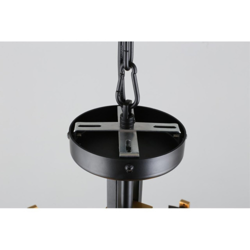 Люстра подвесная OML-99703-06 фото 9