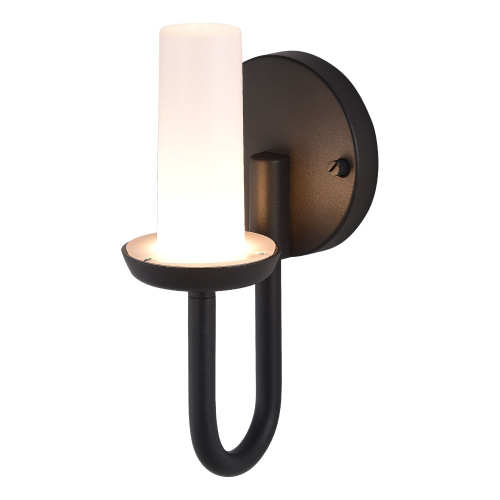SL9539.701.01 Светильник уличный настенный ST-Luce темно-серый LED 1*3W 3000K CANDLE фото 4