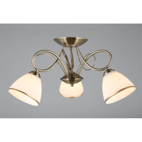 Люстра потолочная OML-25307-03 фото 4