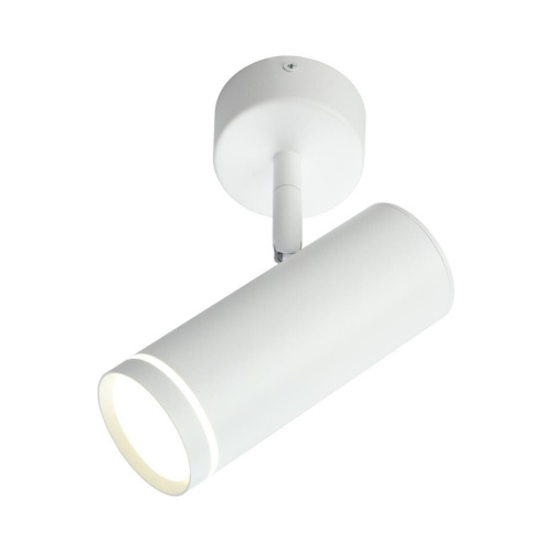 Светильник настенно-потолочный OML-102219-12