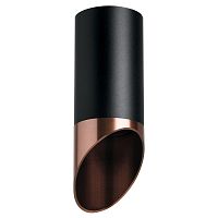 Комплект с потолочным светильником Lightstar Rullo (214437+201430) R437130