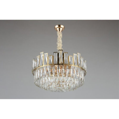 Люстра подвесная OML-67903-09 фото 5