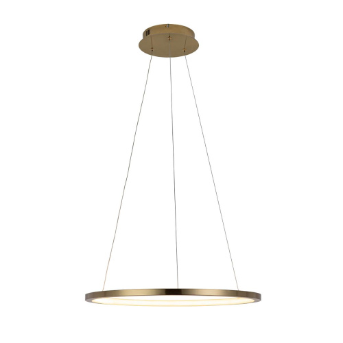 10014M Подвесной светильник LOFT IT Ring фото 2 10014M Подвесной светильник LOFT IT Ring фото 2