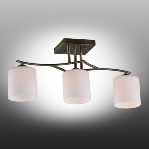 Люстра потолочная OML-55317-03 фото 3 Люстра потолочная OML-55317-03 фото 3