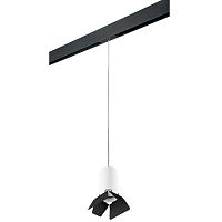 Комплект с трековым светильником Lightstar Rullo (214436+595857+202437) PRORP436437