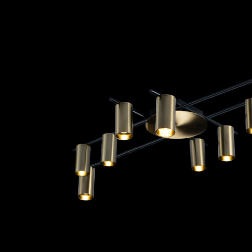 8120C-10 Потолочный светильник LOFT IT Tribes фото 4