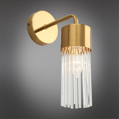 Светильник настенный (Бра) OML-67101-01 фото 3 Светильник настенный (Бра) OML-67101-01 фото 3